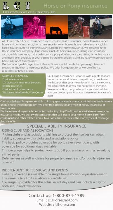 Equine Insurance Companies