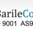 Barileiso9001 Consulting